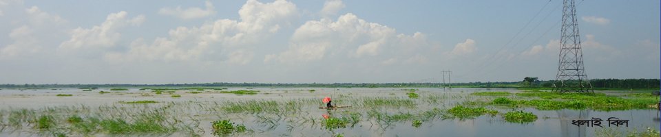 ধলাই বিল